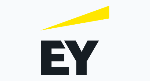 EY — organisation represented among enrolled Leadership Excellence participants